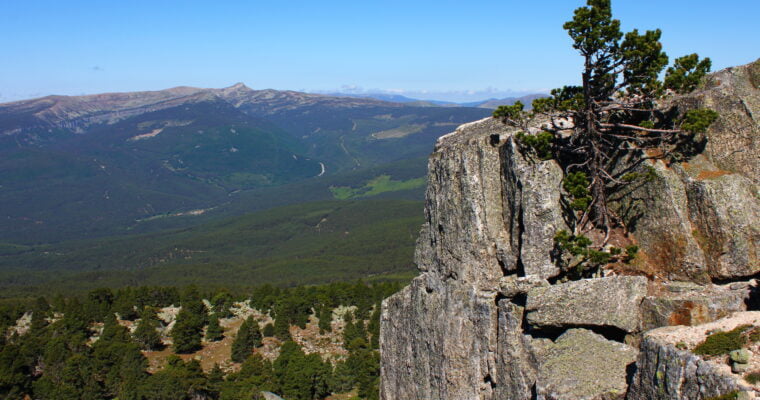 Parque Natural de la Sierra de Cebollera